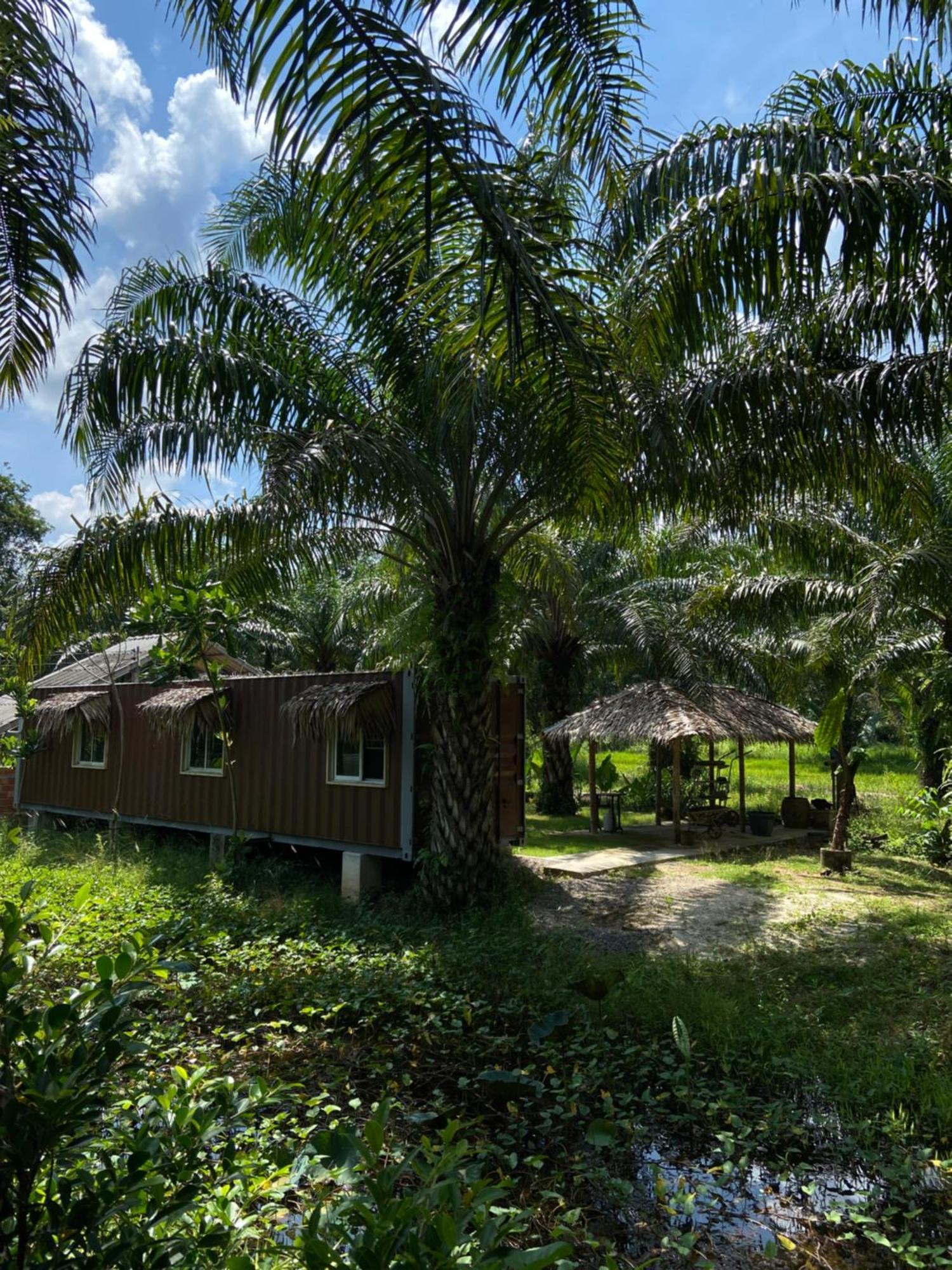 Forest Guesthouse Ban Don Muang  외부 사진